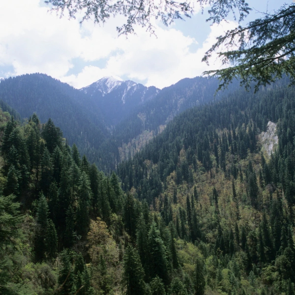 Great Himalayan National Park, Manali