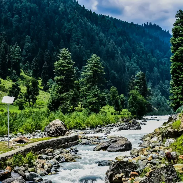Pahalgam, kashmir