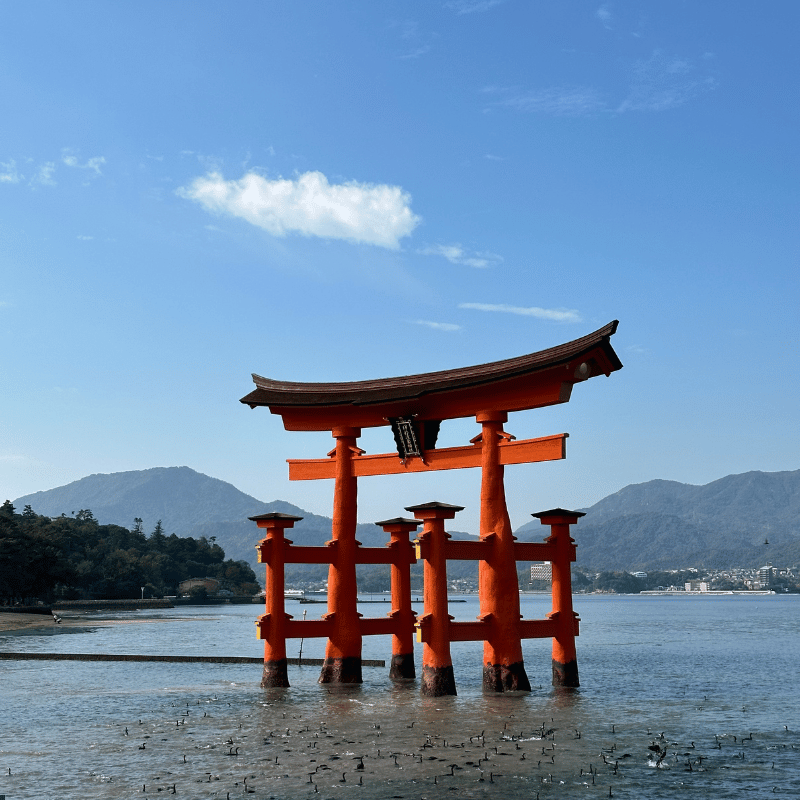 Japan Holiday Package