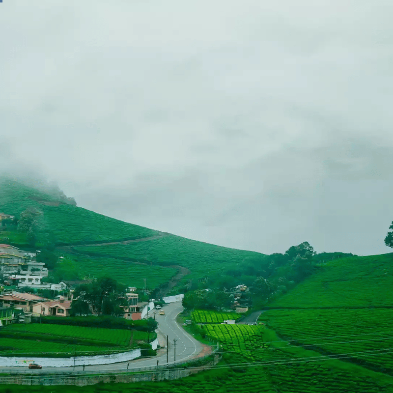 Ooty-Tour-Package